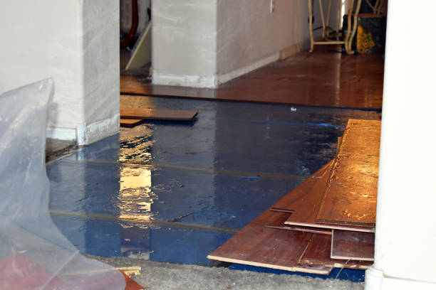 Professional Basement Flood Cleanup technician working in Lake Mills, IA